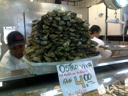 Live oysters at the city market in Florianópolis/Southern Brazil